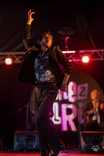 flamenco (71)
